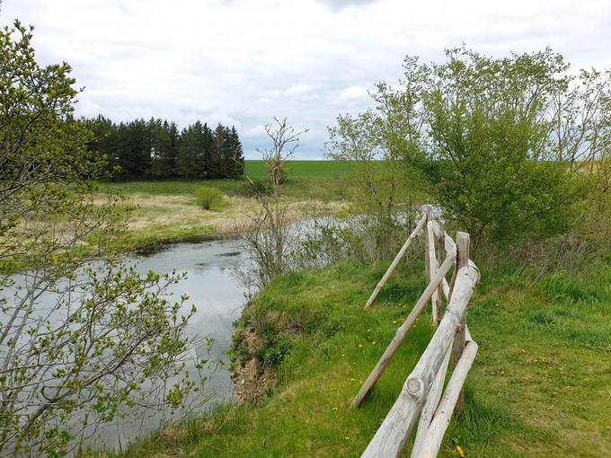 Skalių kalnas. Tomos Mikalajūnaitės nuotrauka, 2020