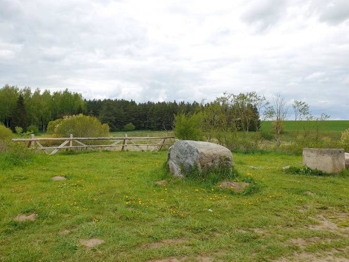 Skalių kalno prieigos. Dešinysis Mūšos upės krantas. Tomos Mikalajūnaitės nuotrauka, 2020