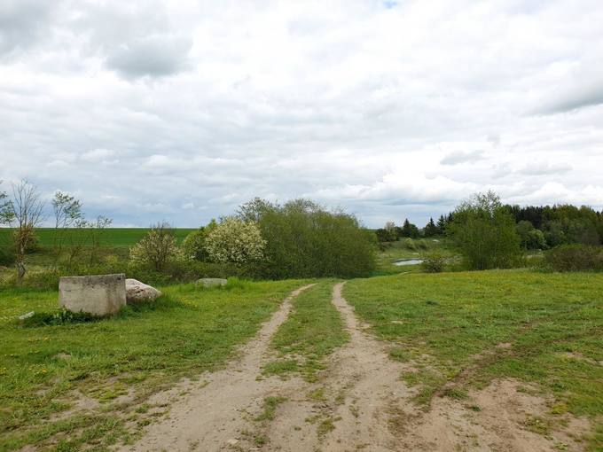 Skalių kalno prieigos. Dešinysis Mūšos upės krantas. Tomos Mikalajūnaitės nuotrauka, 2020