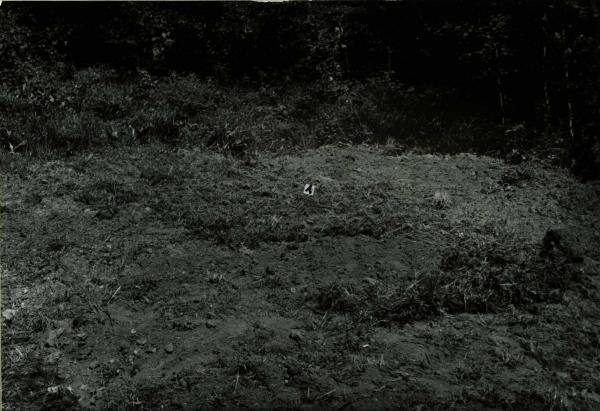 Norelių kapinynas. Perkasa I po užkasimo. Vaizdas iš pietvakarių pusės: [nuotrauka] // Tebelškis P. Norelių kapinynas: IP 2399/A (Pasvalio r.) 1997 m. žvalgomųjų archeologinių tyrimų ataskaita. – Vilnius, 1997.