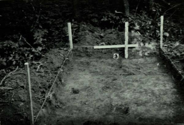 Norelių kapinynas. Perkasa III prieš užkasimą. Vaizdas iš pietų pusės: [nuotrauka] // Tebelškis P. Norelių kapinynas: IP 2399/A (Pasvalio r.) 1997 m. žvalgomųjų archeologinių tyrimų ataskaita. – Vilnius, 1997.