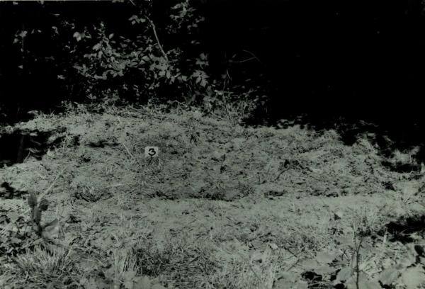 Norelių kapinynas. Perkasa III po užkasimo. Vaizdas iš pietų pusės: [nuotrauka] // Tebelškis P. Norelių kapinynas: IP 2399/A (Pasvalio r.) 1997 m. žvalgomųjų archeologinių tyrimų ataskaita. – Vilnius, 1997.