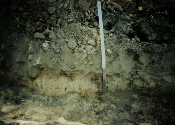 Plotas nr. 2: [nuotrauka] // Lisauskaitė B. Saudogalos piliakalnis. Archeologiniai tyrimai. – Trakai, 1996.