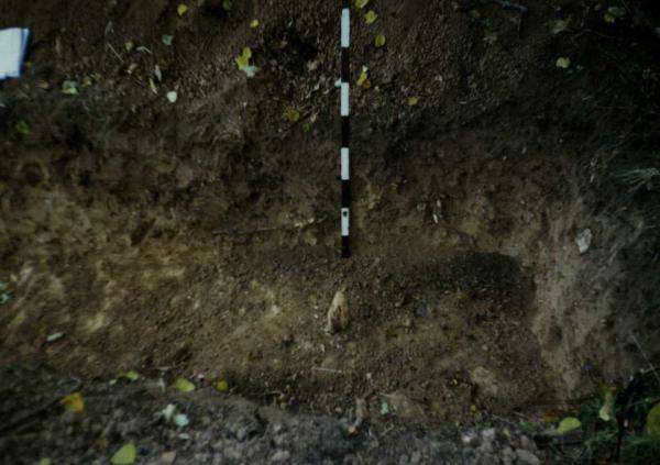 Plotas nr. 3: [nuotrauka] // Lisauskaitė B. Saudogalos piliakalnis. Archeologiniai tyrimai. – Trakai, 1996.