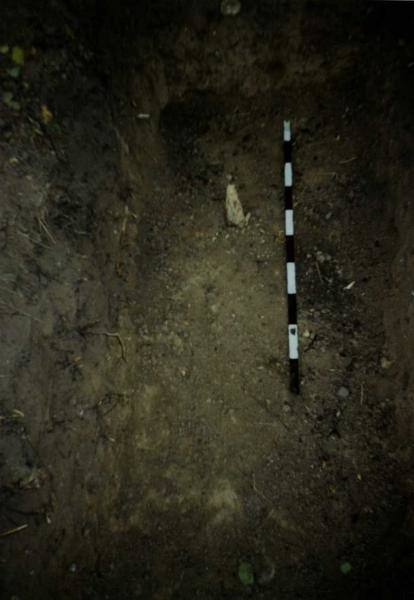 Plotas nr. 3. rasto medinio stulpo liekanos: [nuotrauka] // Lisauskaitė B. Saudogalos piliakalnis. Archeologiniai tyrimai. – Trakai, 1996.