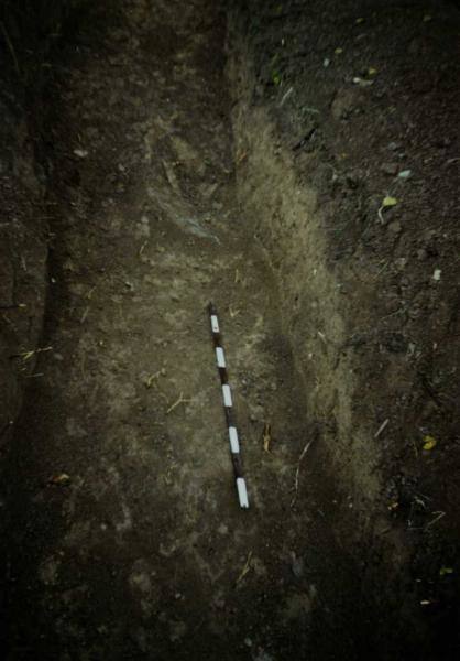 Plotas nr. 3: [nuotrauka] // Lisauskaitė B. Saudogalos piliakalnis. Archeologiniai tyrimai. – Trakai, 1996.