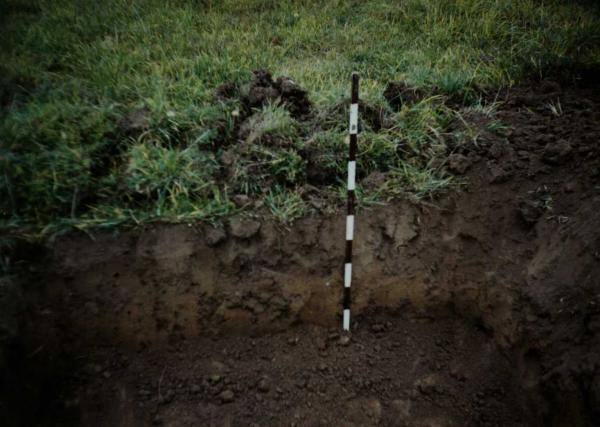 Plotas nr. 4: [nuotrauka] // Lisauskaitė B. Saudogalos piliakalnis. Archeologiniai tyrimai. – Trakai, 1996.