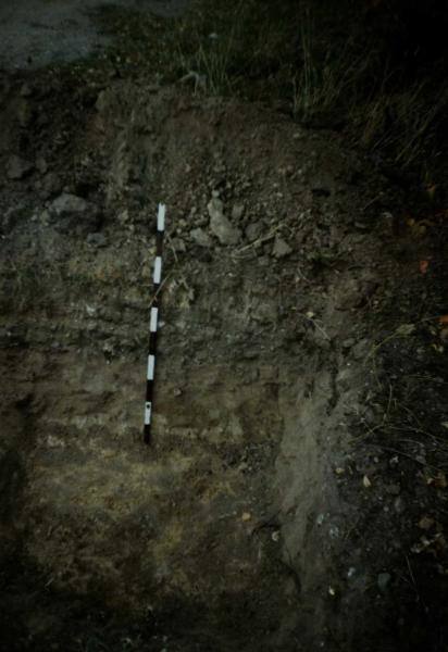 Plotas nr. 5: [nuotrauka] // Lisauskaitė B. Saudogalos piliakalnis. Archeologiniai tyrimai. – Trakai, 1996.