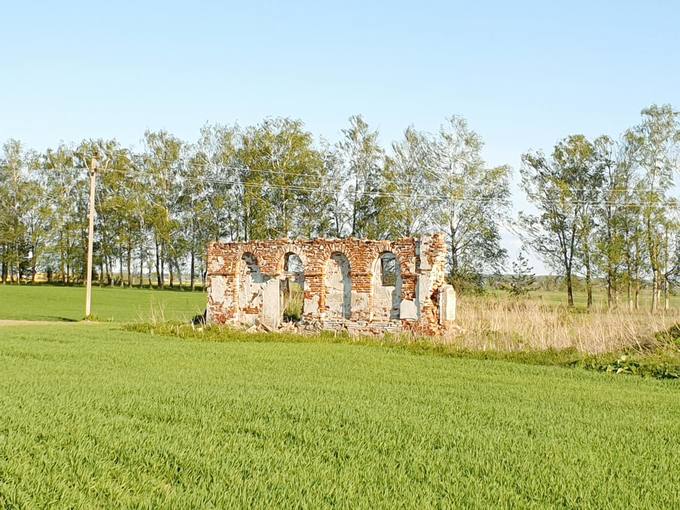 Sokų dvaro tvarto griuvėsiai. Tomos Mikalajūnaitės nuotrauka, 2020