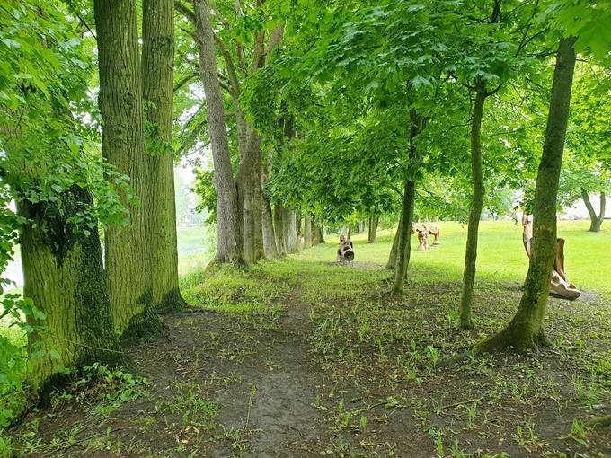 Pasvalio senosios klebonijos (Užupio) parkas. Tomos Mikalajūnaitės nuotrauka, 2020