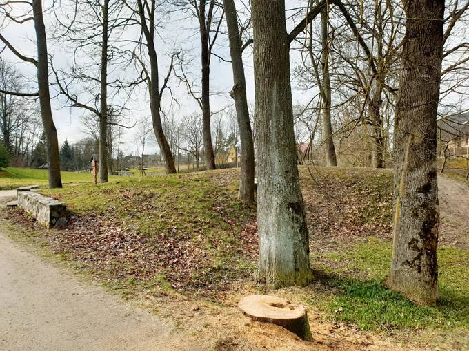 Karaimų senkapės. Tomos Mikalajūnaitės nuotrauka, 2020