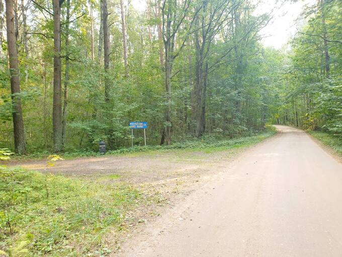 Rodyklės veda link memorialo holokausto aukoms atminti Žadeikių miške. Tomos Mikalajūnaitės nuotrauka, 2020