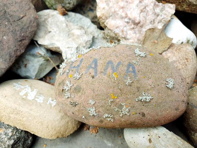 Memorialas holokausto aukoms atminti Žadeikių miške. Tomos Mikalajūnaitės nuotrauka, 2020