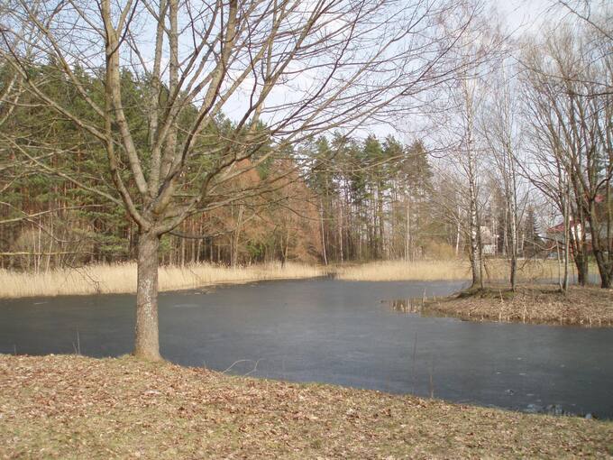 Pasvalio kultūros ir poilsio parkas. Almos Balčiūnienės nuotrauka, 2017