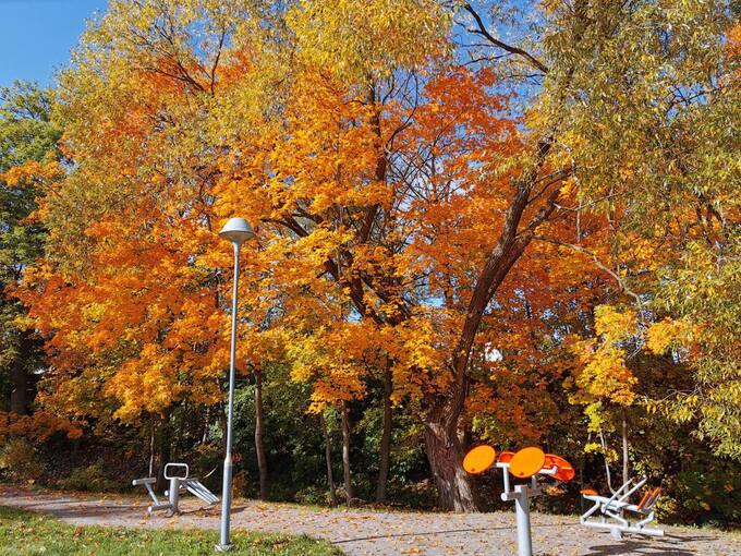 Parkas „Pasvalio Šveicarija“. Almos Balčiūnienės nuotrauka, 2019