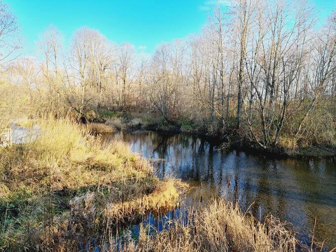 Šalia Daniūnų dvaro malūno teka Tatulos upė. Tomos Mikalajūnaitės nuotrauka, 2020