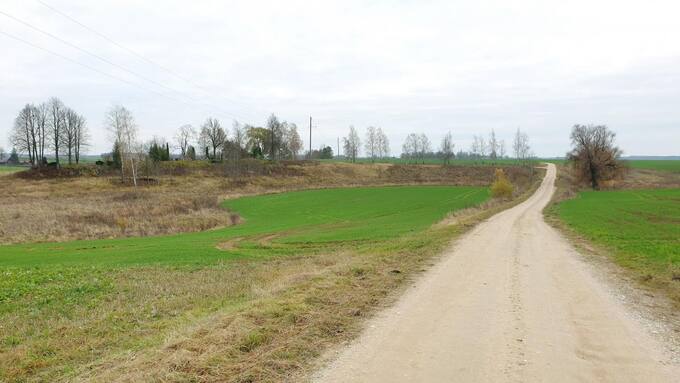 Saudogalos piliakalnis. Tomos Mikalajūnaitės nuotrauka, 2020