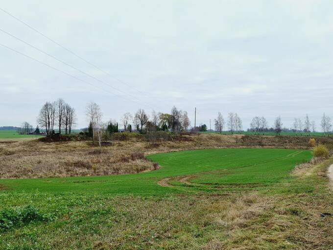 Saudogalos piliakalnis. Tomos Mikalajūnaitės nuotrauka, 2020