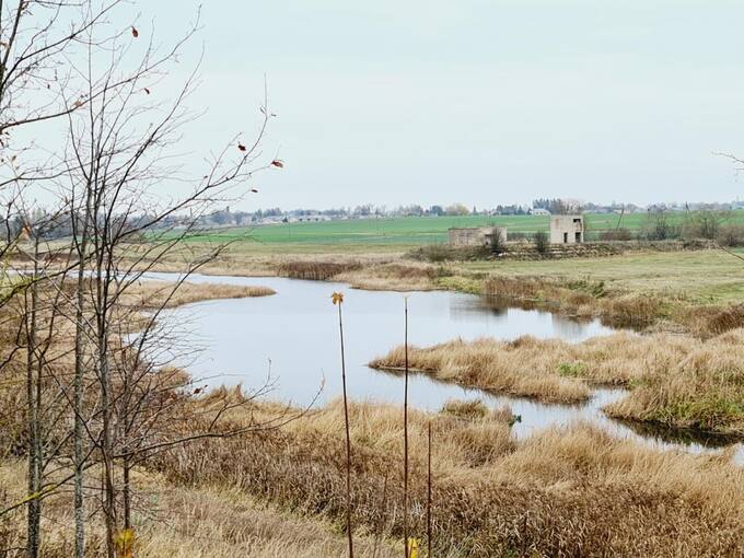 Nuo Saudogalos piliakalnio atsiveria Mūšos upės panorama. Tomos Mikalajūnaitės nuotrauka, 2020