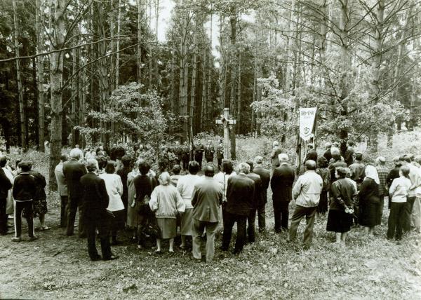 Kryžius kovotojams už Lietuvos laisvę Pasvalio kultūros ir poilsio parke