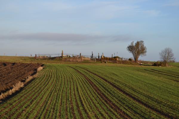 Vainekonių senkapis