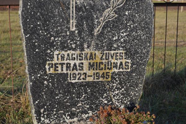 Partizano Petro Miciūno kapas Vainekonių kapinėse