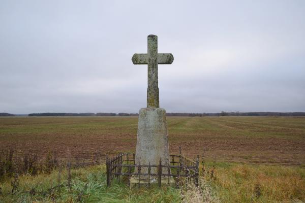Kryžius Jurgėnų kaimo laukuose nepriklausomai Lietuvai