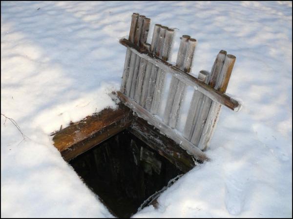 Bunkeris Margiuose, Žaliojoje girioje