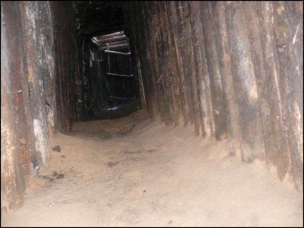 Bunkeris Margiuose, Žaliojoje girioje