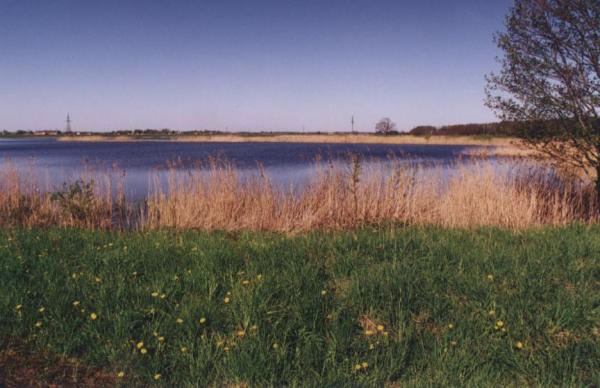 Pajiešmenių botaninis-zoologinis draustinis