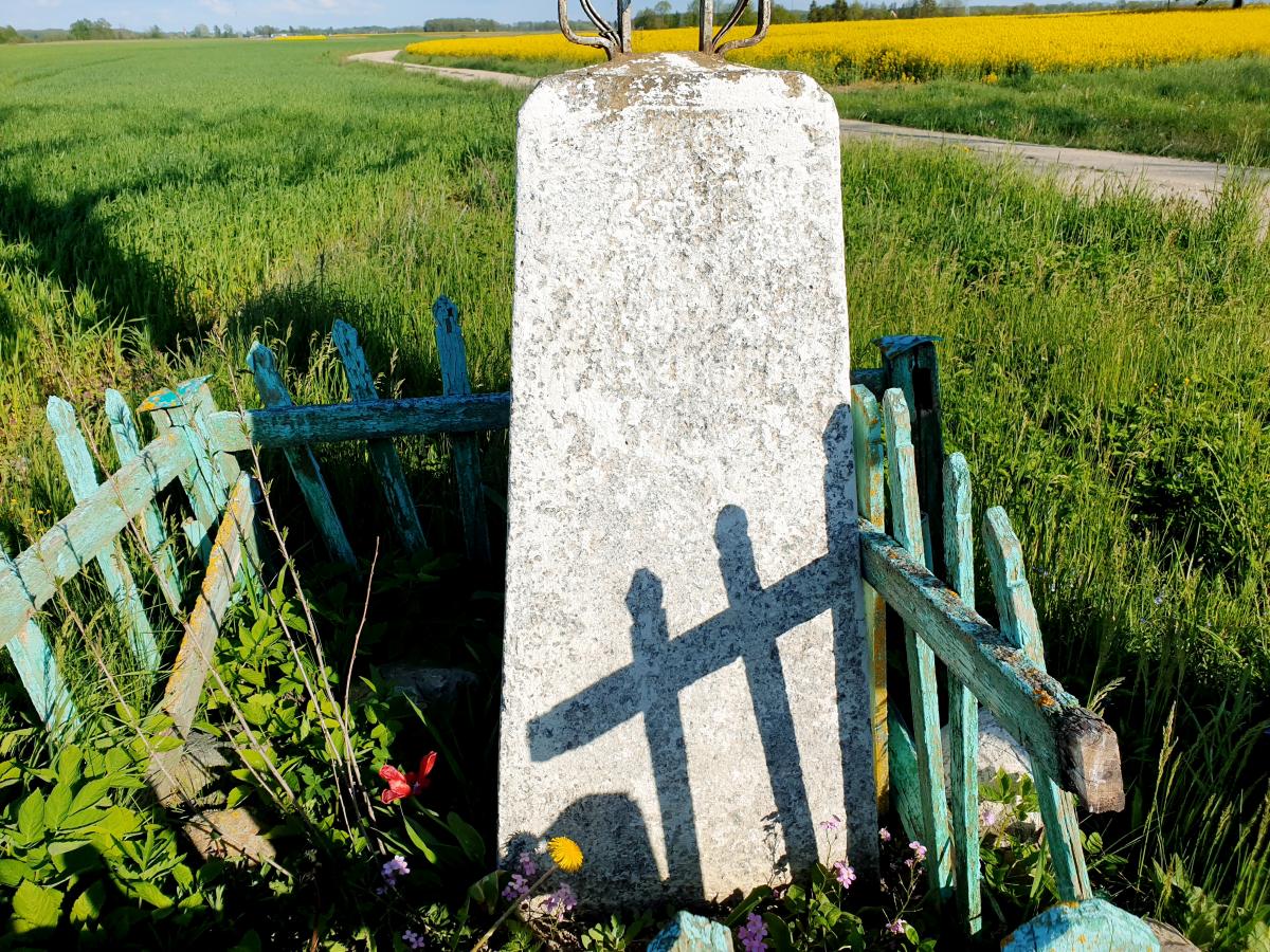 Kryžius prie buvusios Felicijos ir Antano Karpavičių sodybos Rojūnų kaime