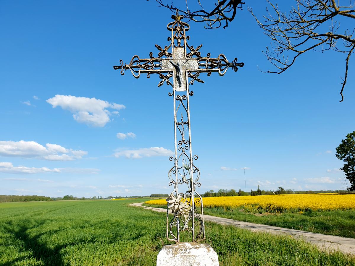Kryžius prie buvusios Felicijos ir Antano Karpavičių sodybos Rojūnų kaime 
