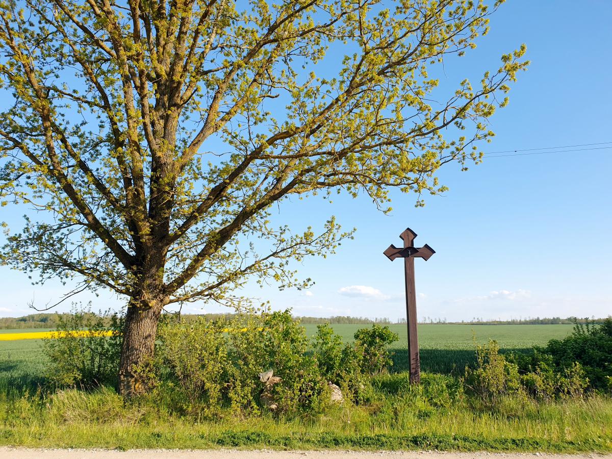 Kryžius prie kelio Žilpamūšis–Burgėnai