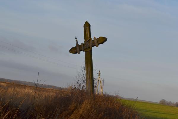 Kryžius pavasarininkams Vainekonių kaime