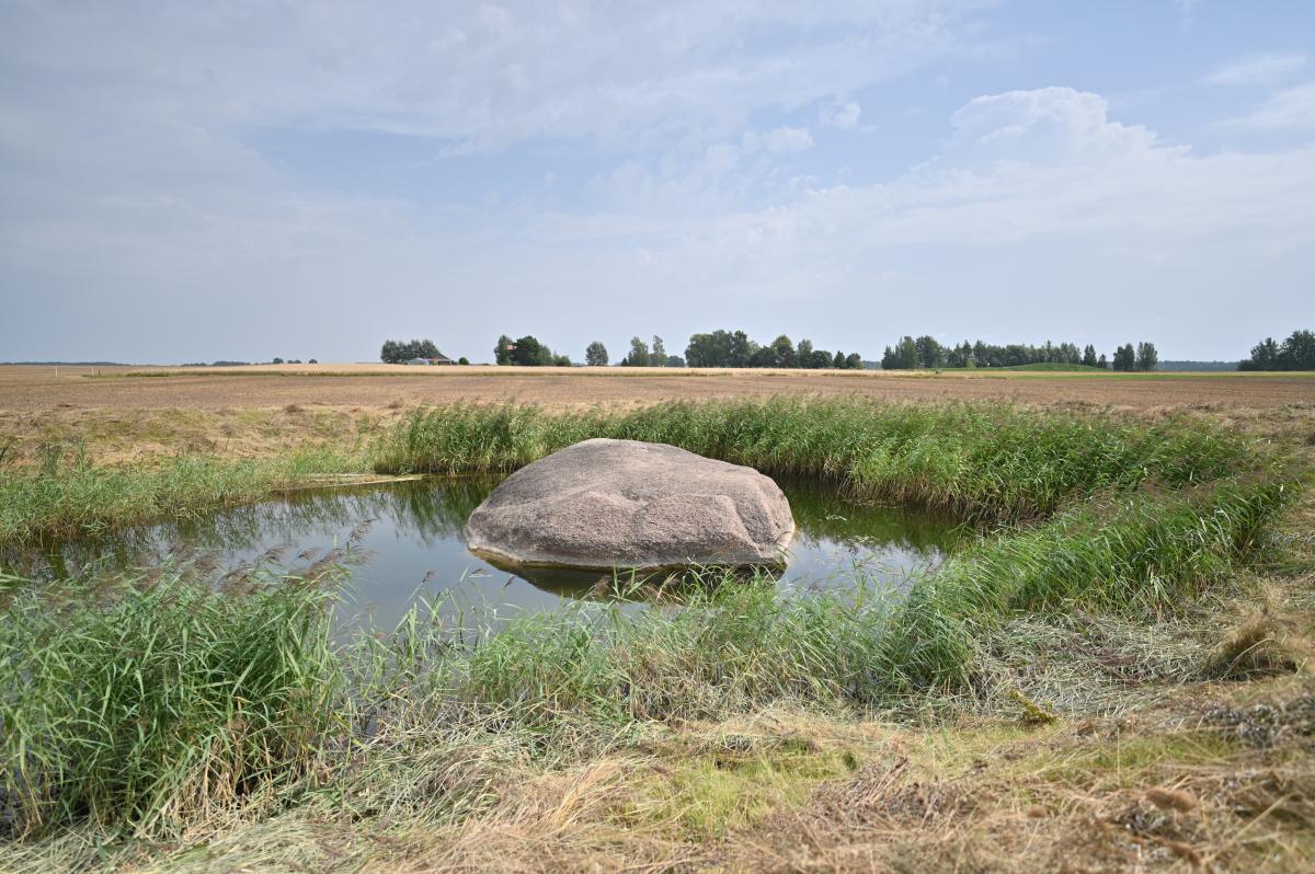 Banionių akmuo