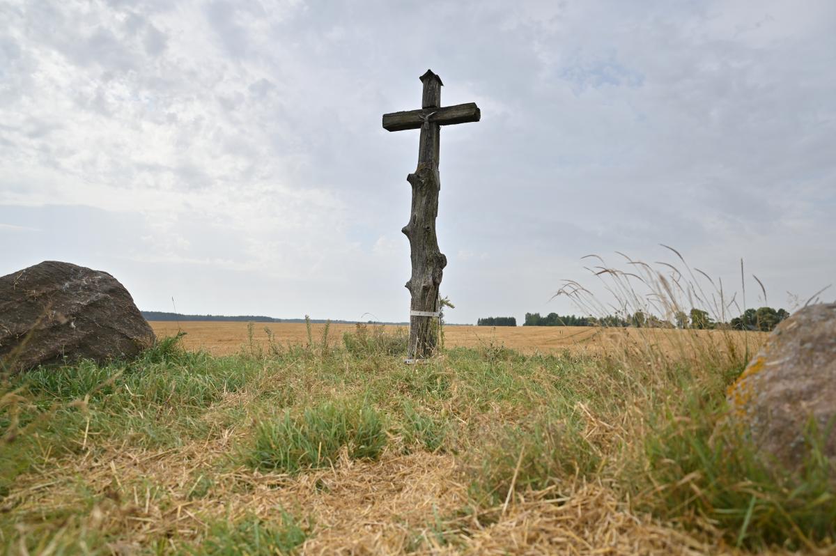 Kryžius profesoriaus, lietuvių išeivijos filosofo Algio Mickūno gimtosios sodybos vietoje, Kriklinių kaime