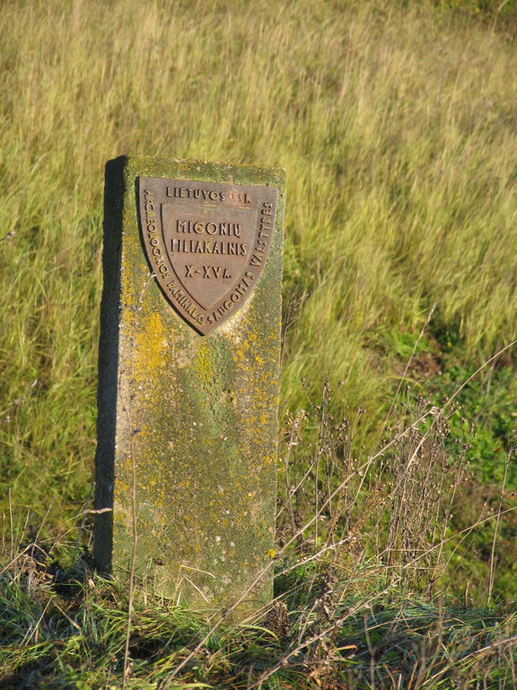 Migonių (Šimonių) piliakalnis