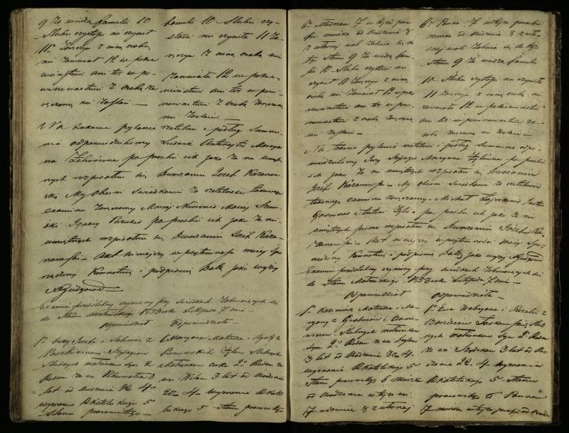Pušaloto Romos katalikų parapijos bažnyčios 1847–1855 metų priešjungtuvinės apklausos knyga