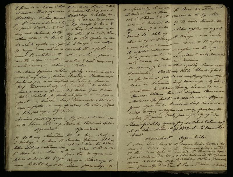 Pušaloto Romos katalikų parapijos bažnyčios 1847–1855 metų priešjungtuvinės apklausos knyga