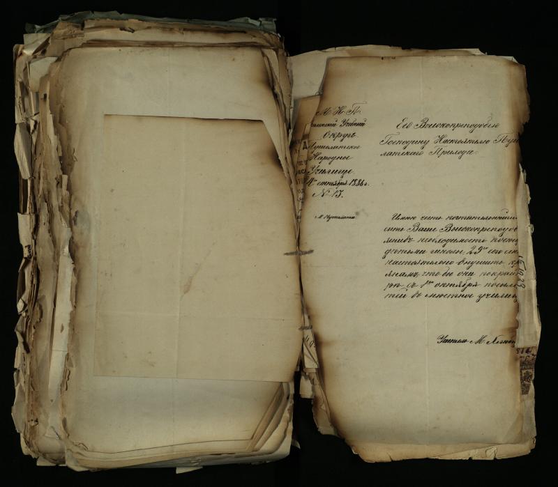 Pušaloto Romos katalikų parapijos bažnyčios 1884–1900 metų gaunamų raštų knyga