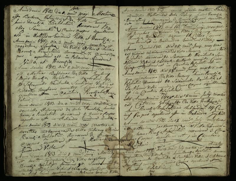 Pušaloto Romos katalikų parapijos bažnyčios 1785–1810 metų mirties metrikų knyga