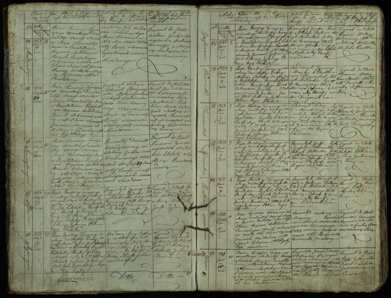 Pušaloto Romos katalikų parapijos bažnyčios 1828–1834 metų krikšto metrikų knyga