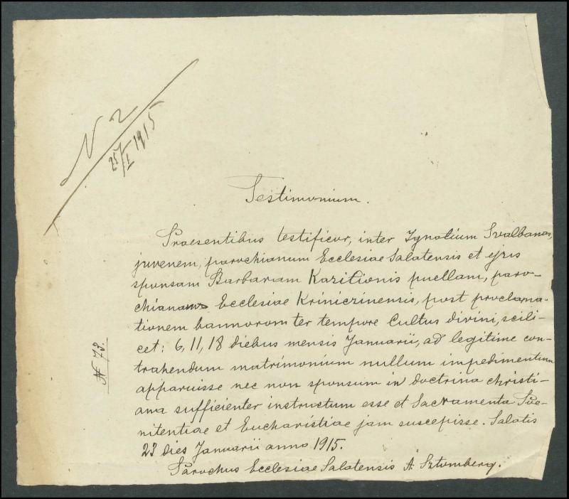 Krinčino Romos katalikų parapijos bažnyčios 1911–1919 metų priešjungtuvinės apklausos knyga