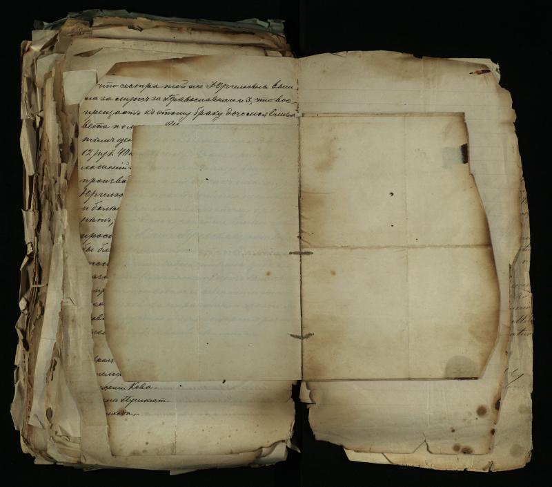 Pušaloto Romos katalikų parapijos bažnyčios 1884–1900 metų gaunamų raštų knyga