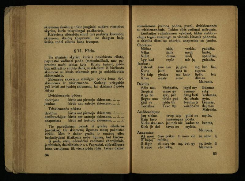 Literatūros teorija : vadovėlis aukštesniosioms mokykloms / K. Bizauskas. – 3 -ias leid. – Kaunas, 1922. – 199 p.