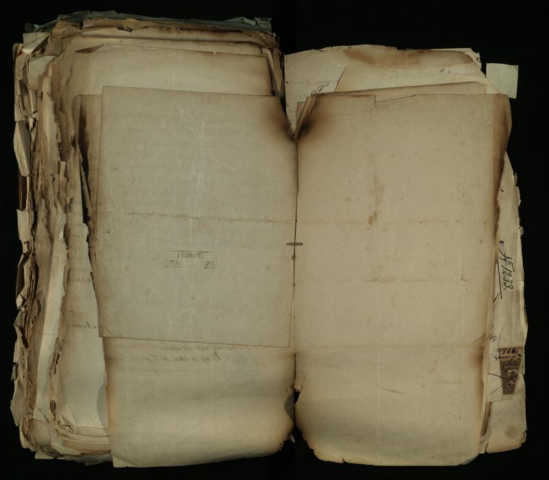 Pušaloto Romos katalikų parapijos bažnyčios 1884–1900 metų gaunamų raštų knyga