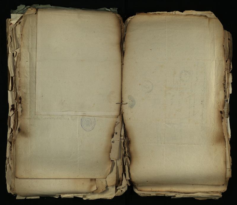 Pušaloto Romos katalikų parapijos bažnyčios 1884–1900 metų gaunamų raštų knyga