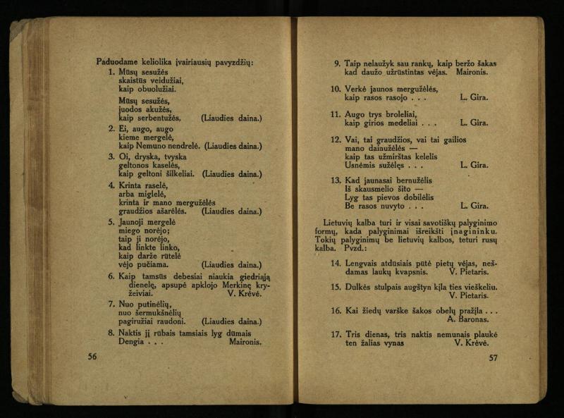 Literatūros teorija : vadovėlis aukštesniosioms mokykloms / K. Bizauskas. – 3 -ias leid. – Kaunas, 1922. – 199 p.
