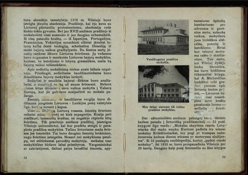Naujoji Lietuva