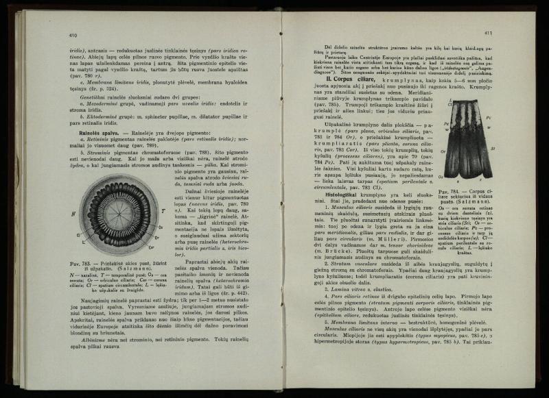 Akių ligų vadovas / Petras Avižonis. – Kaunas: Medicinos fakultetao leidinys, 1940. – VIII, 841, [2] p., 18 iliustr. lap.